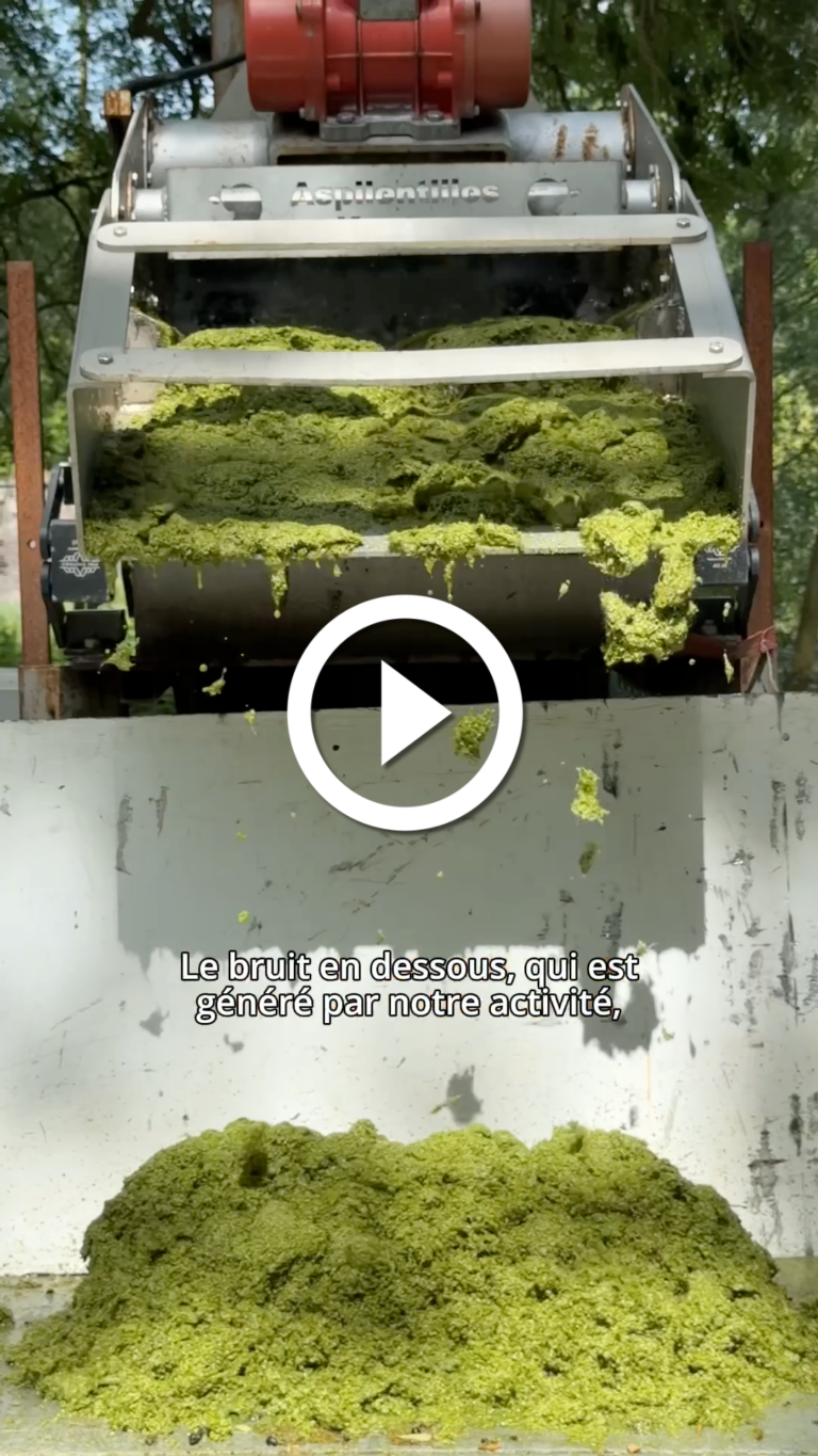 Le ramassage des lentilles d'eau à la Citadelle de Lille